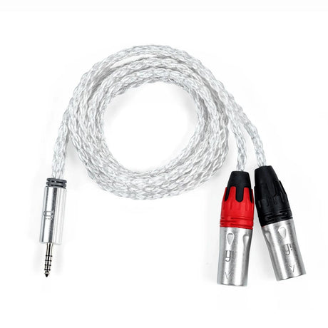iFi Audio 0306045-N00001 4.4mm To XLR Cable (0306045-N00001)