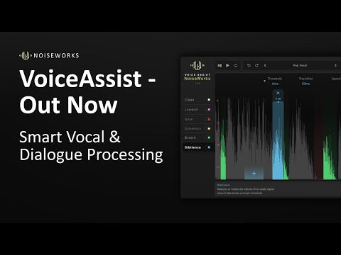 Noiseworks VoiceAssist Standard ARA Vocal & Sibilance Control