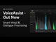 Noiseworks VoiceAssist Standard ARA Vocal & Sibilance Control