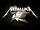 Pro-Ject Metallica Turntable