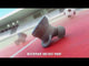 JBL Endurance Race 2 True Wireless Sports Earbuds With Active Noise Cancelling