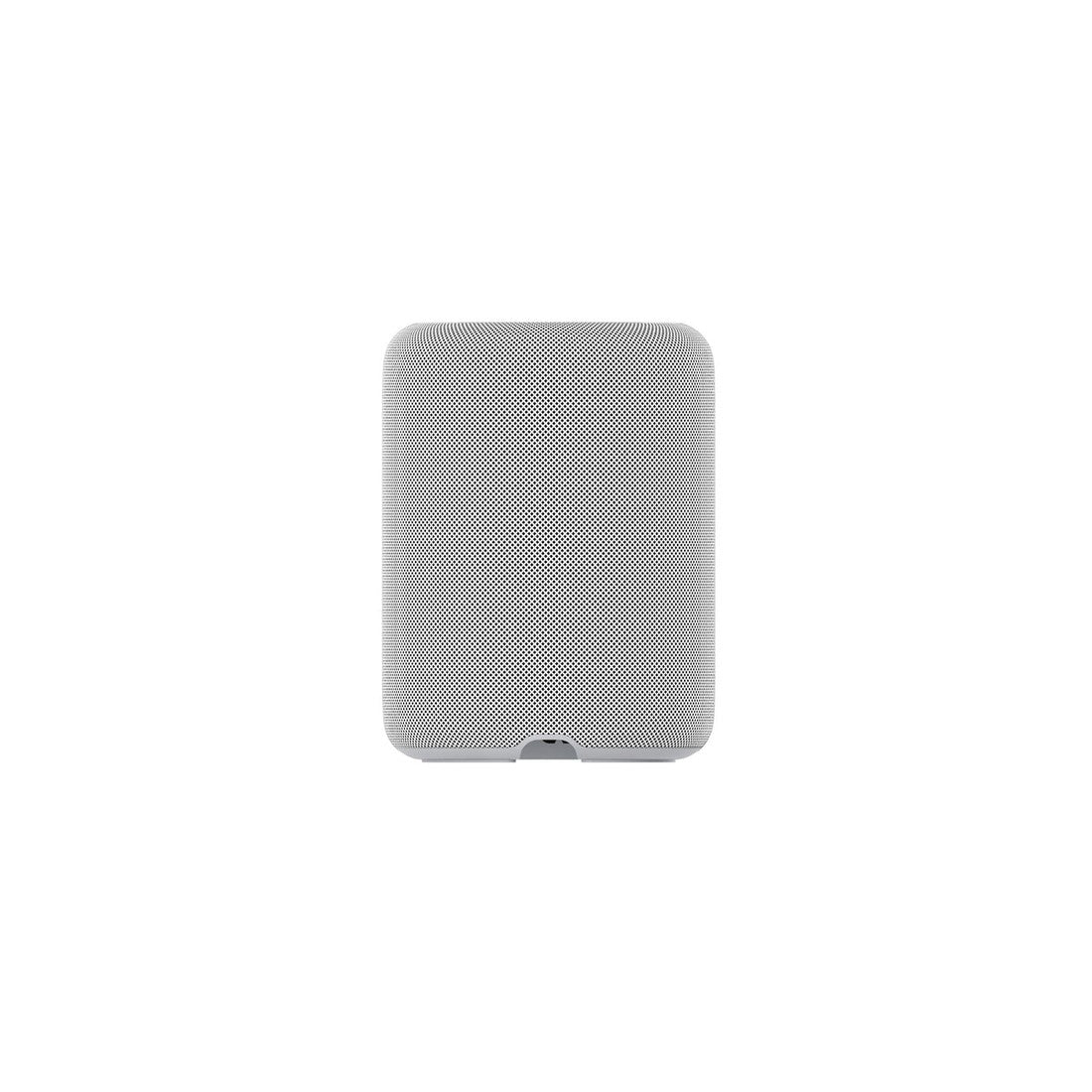WiiM Sound Lite Smart Speaker