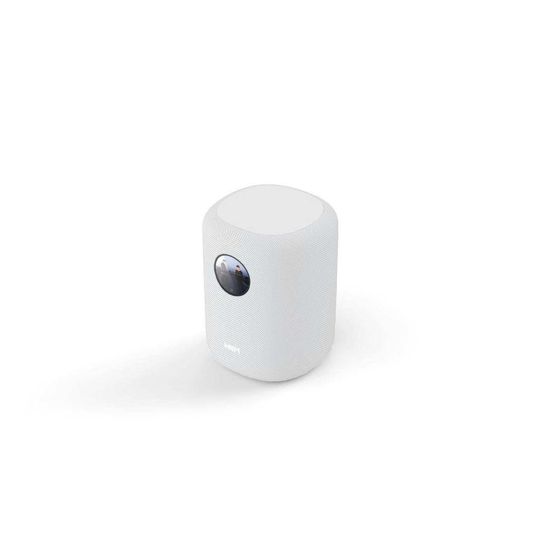 WiiM Sound Smart Wireless Streaming Speaker